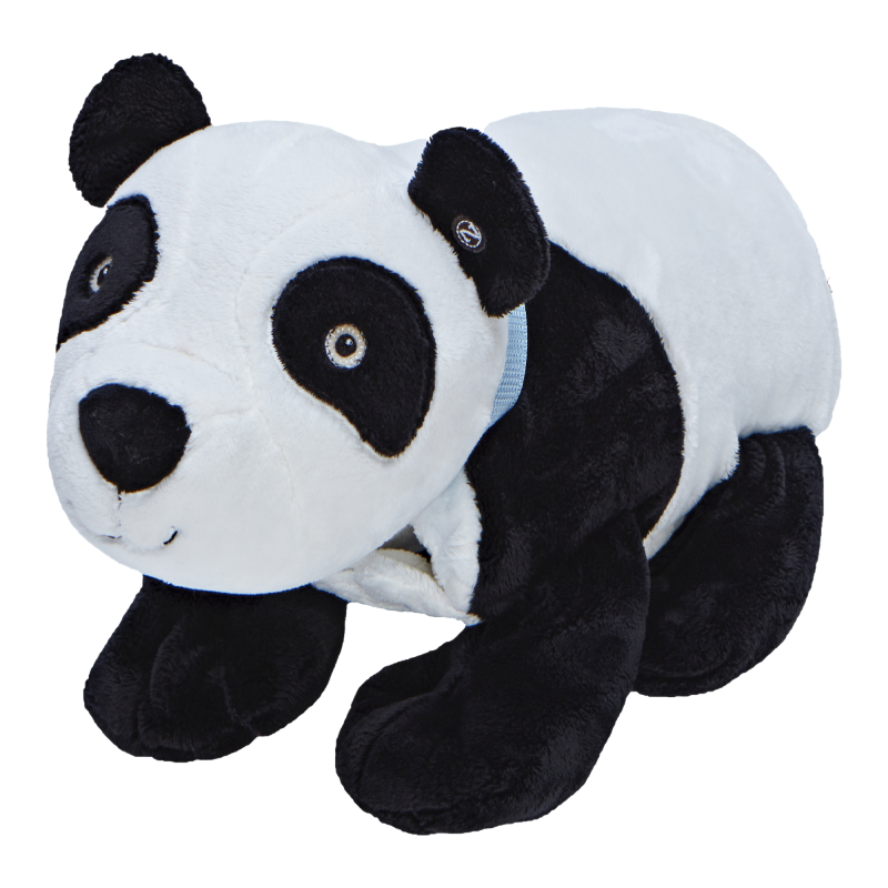 Ping the panda