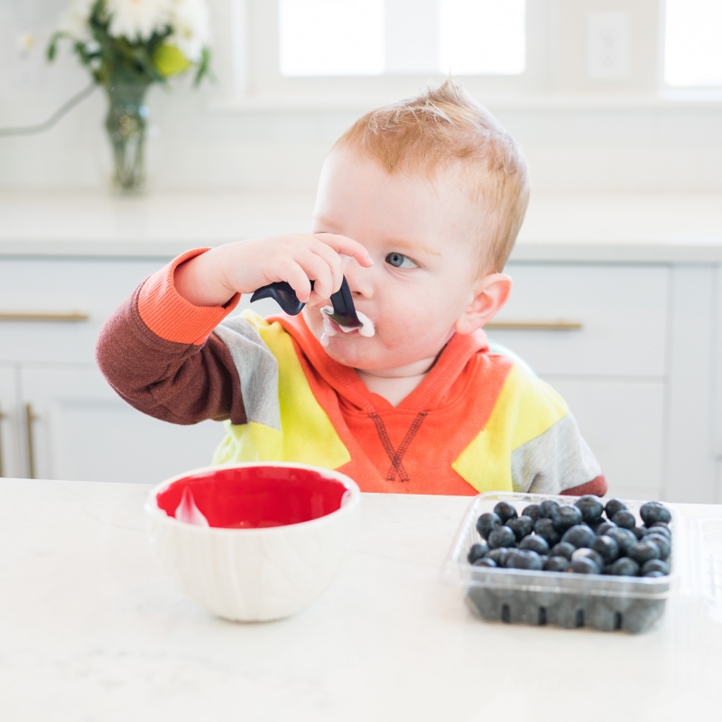 Right-Hand Toddler Spoons-Double Pack (Eggplant+Blueberry)