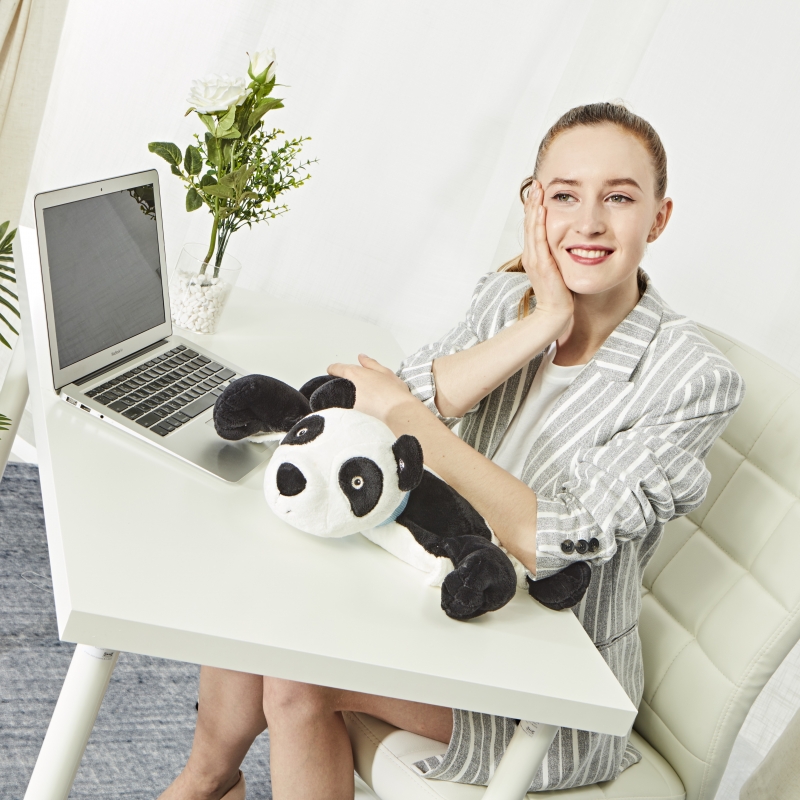 Ping the panda