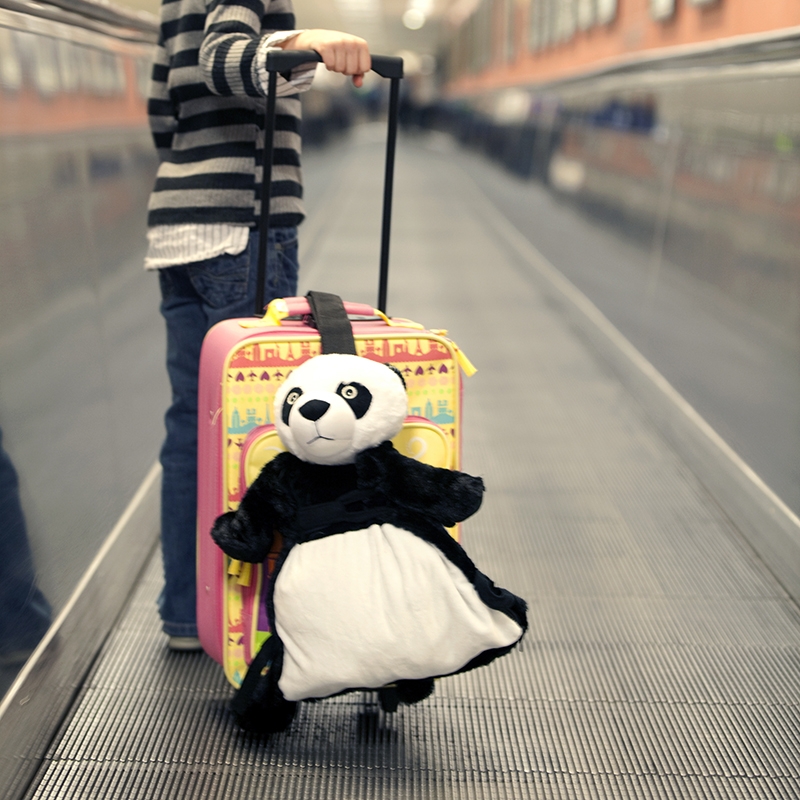 Ping the panda