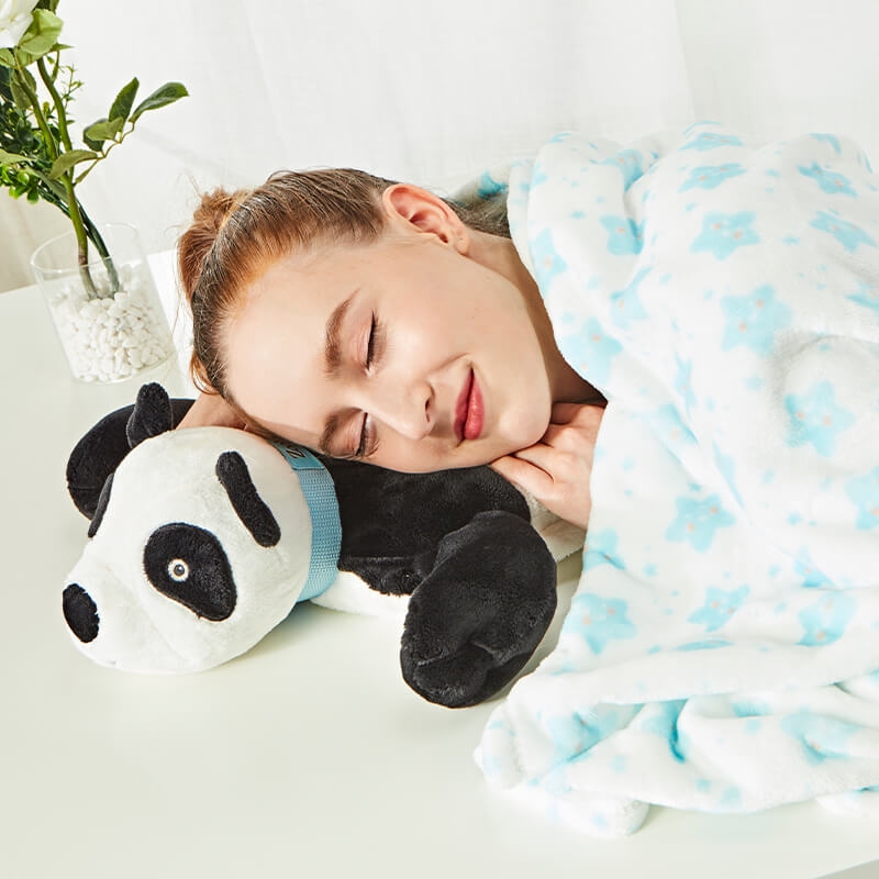 Ping the panda
